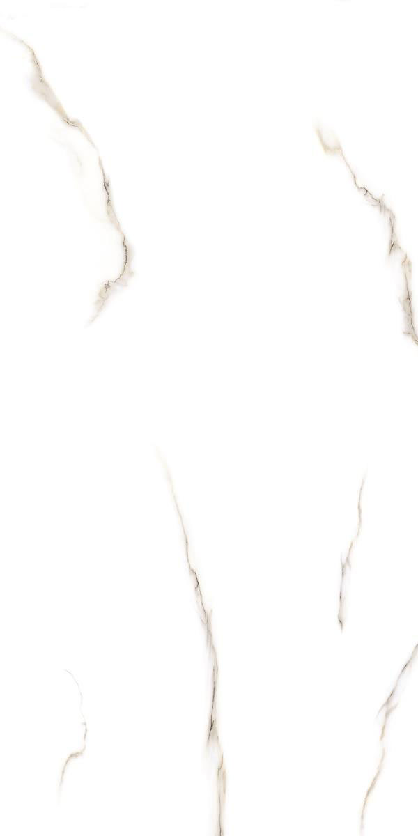 LAVINA WHITE R3